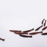 Wanddekoration - Fischschwarm